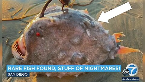 WHY Nobody Talking About THIS..- Something Truly Terrifying Is Going On