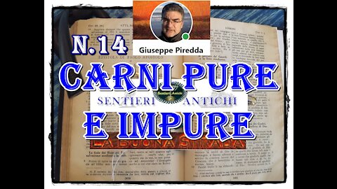 14 Carni pure e impure