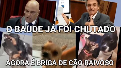 BOLSONARO JÁ CHUTOU O BALDE, AGORA É BRIGA DE CÃO RAIVOSO É É É , O BOLSONARO VOLTOOOU !