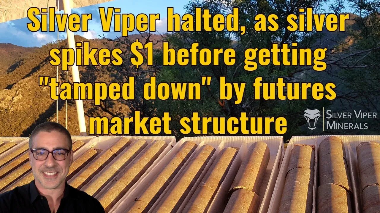 Silver Viper halted, as silver spikes $1 before getting "tamped down" by futures market structure