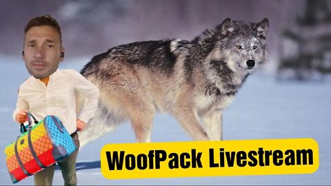 Woof Pack Very Second live-Stream!