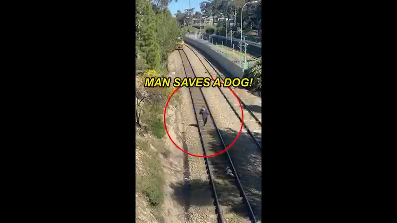 Man saved dog from train