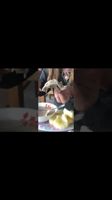 That Time I Ate an Armadillo.