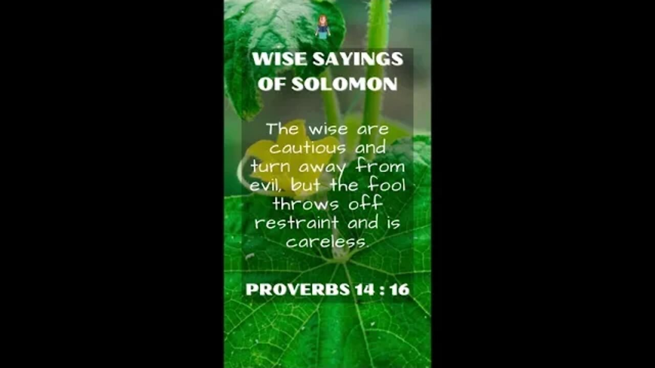 Proverbs 14:16 | NRSV Bible | Wise Sayings of Solomon