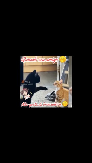 que gato feio #shorts