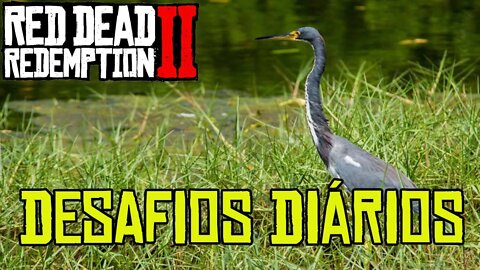 RED DEAD ONLINE DESAFIOS DIÁRIOS
