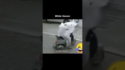 white venom😂😂