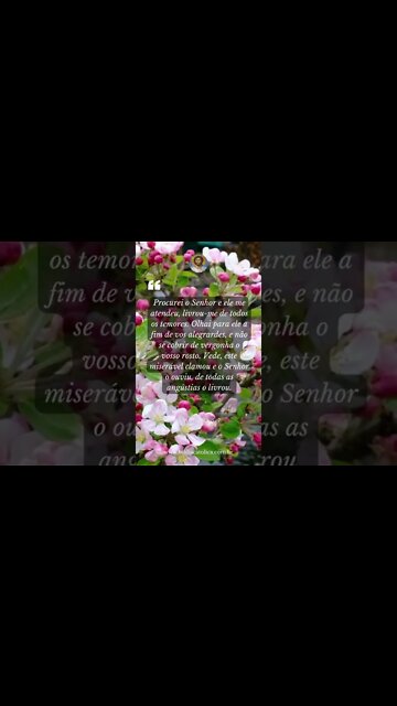 Salmo 33,5-7 - Procurei o Senhor e ele me atendeu, livrou-me de todos os temores. Olhai para ele...