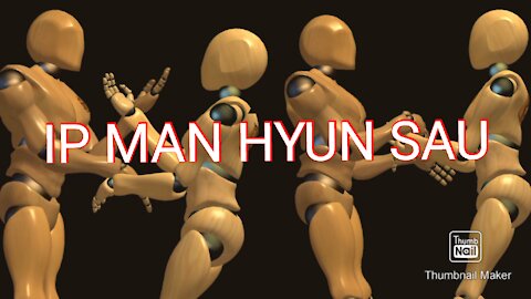 IP MAN HYUN SAU