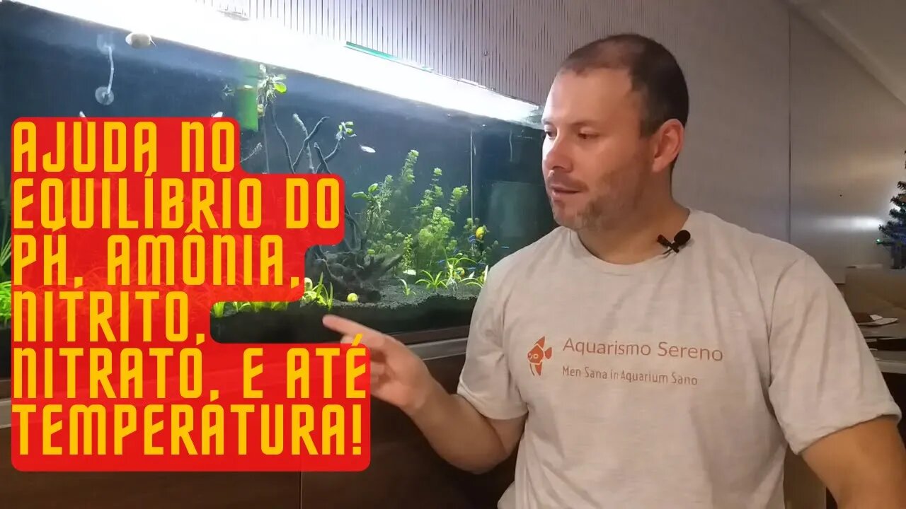 🔴 A Importância do Substrato no Equilíbrio do Aquário