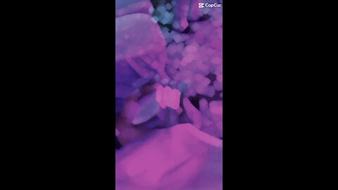 Fun video