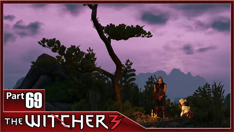 The Witcher 3, Part 69 / Battle Preparations, Veni Vidi Vigo, Child of the Elder Blood, The Sunstone