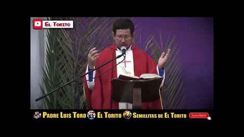 La pasión de nuestro Señor Jesucristo. Padre Luis Toro.