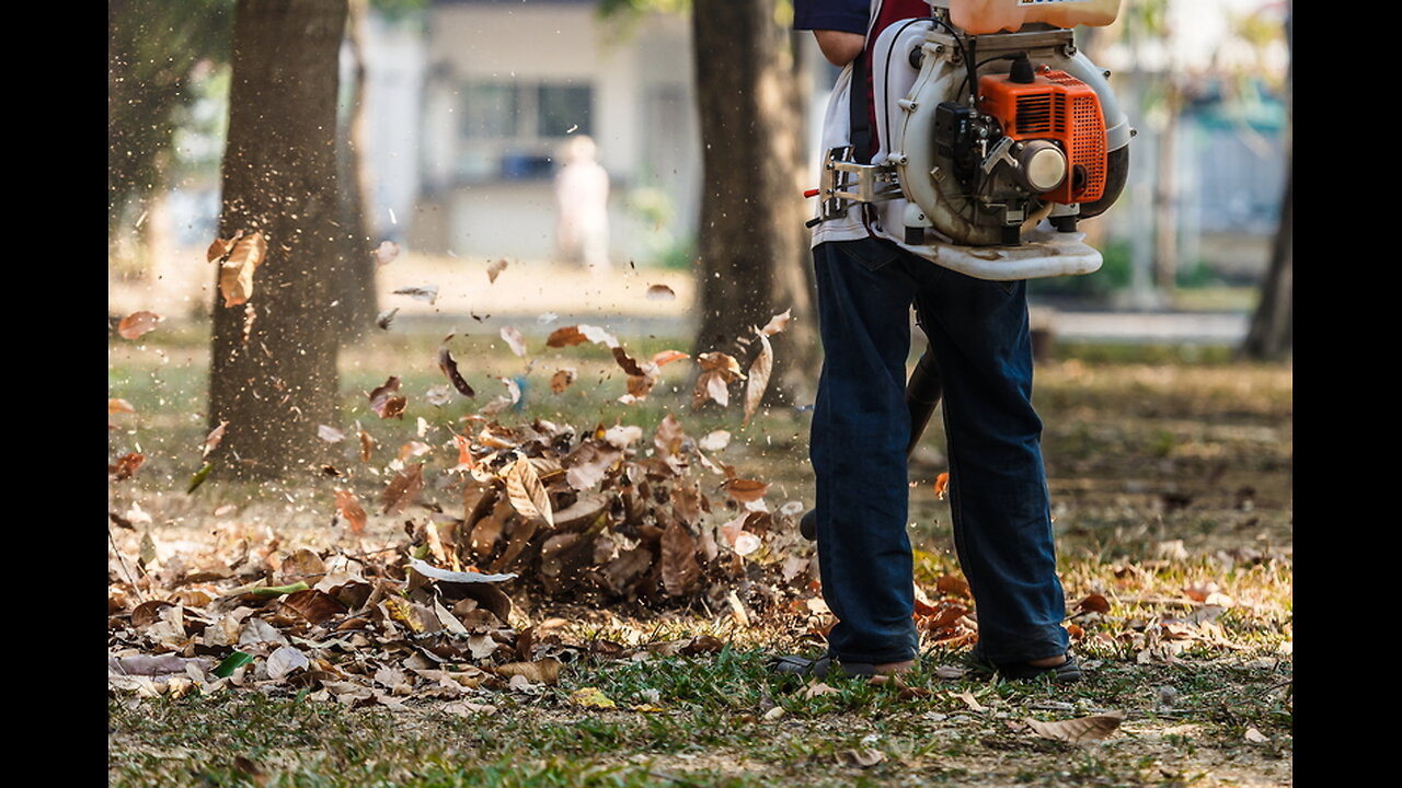 Proposed Law Gives Jail Time to Users of Gas-Powered Mowers and Blowers – Video #51