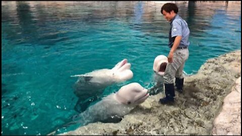 飼育員さん大好き！ 2019-05-12@名古屋港水族館