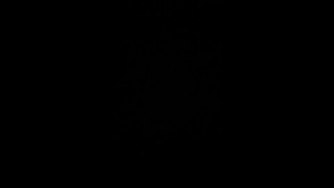 Test 4