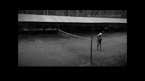 Playin with the game