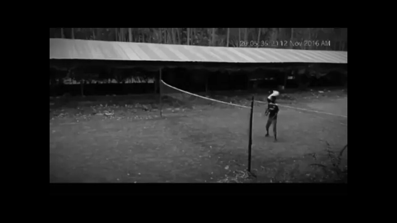 Playin with the game