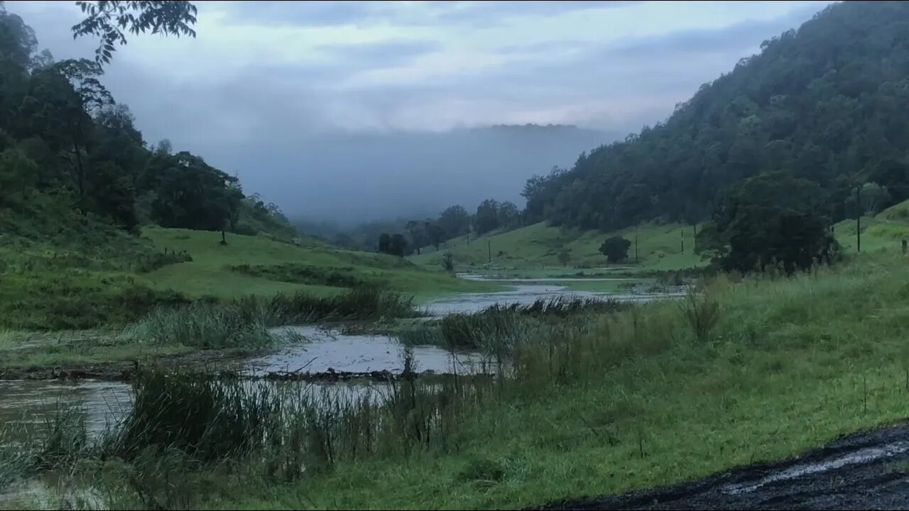 Morning visit with the horses and Henry. The flood has only made our paradise more beautiful