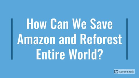 How To Save Amazon and Reforest The World?