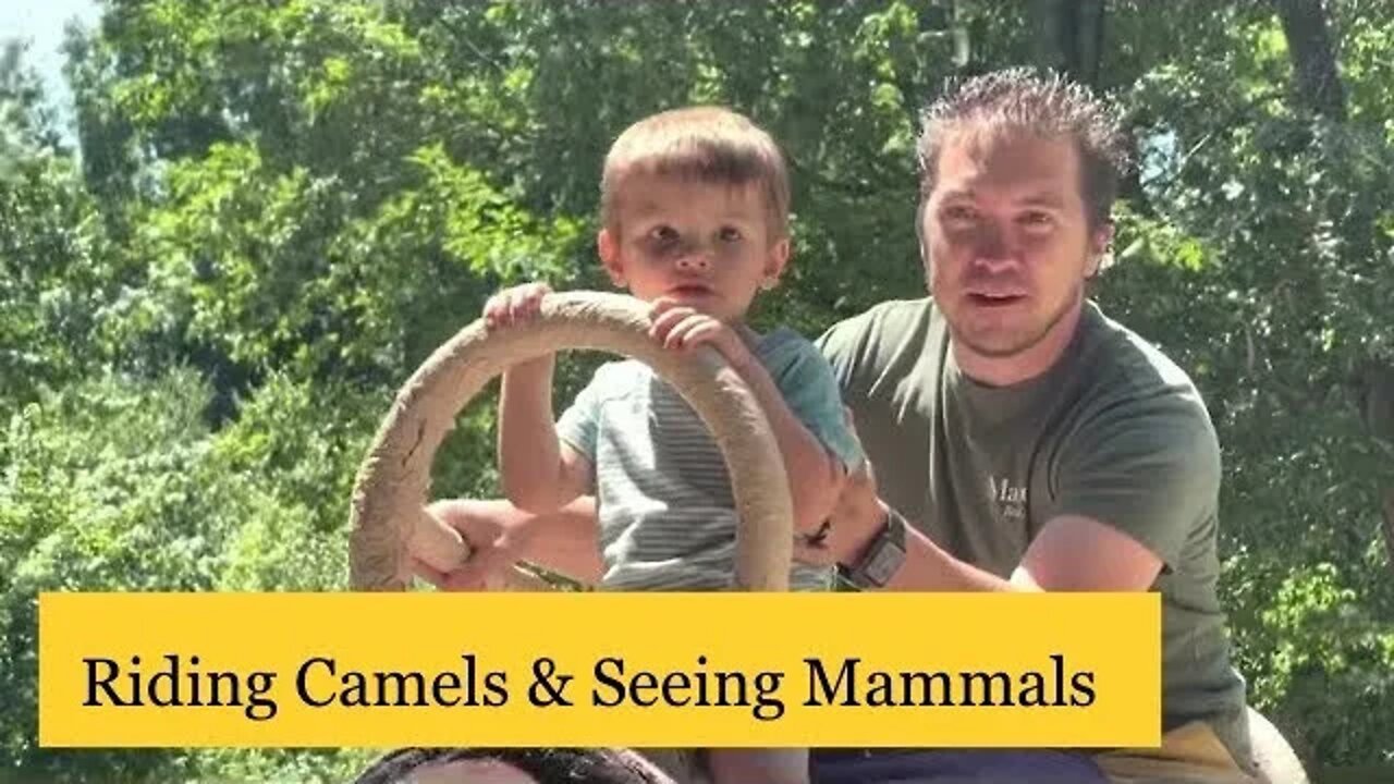 Riding Camals at the Southwicks Zoo - TWE 0382