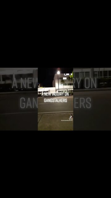 Gangstalking Operations in Big Tech Companies(1)