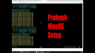 Prohashing HiveOS Setup Tutorial For Mining Proof Of Stake Altcoins