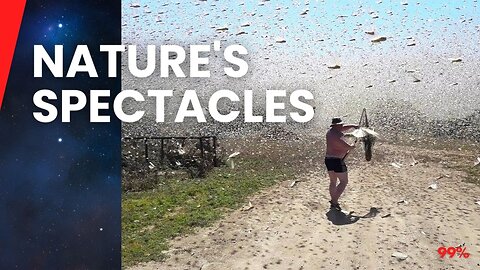 Nature's Wildest Moments: 10 Breathtaking Captures You Must See