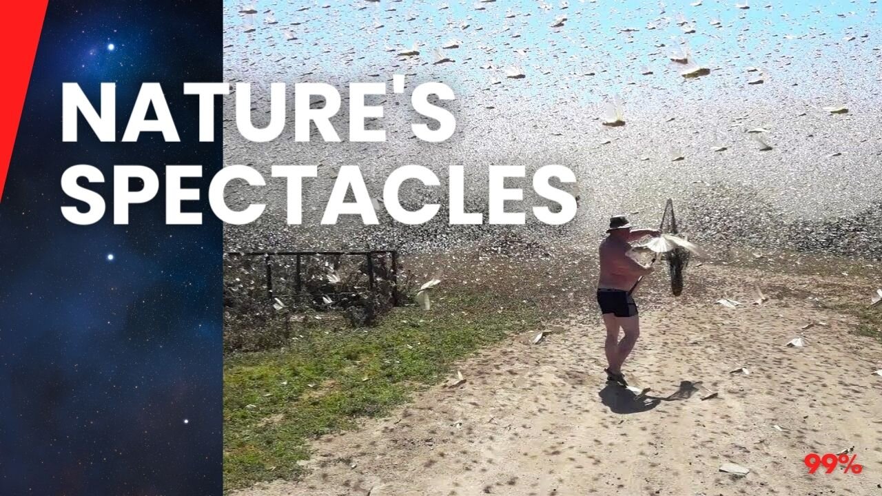 Nature's Wildest Moments: 10 Breathtaking Captures You Must See