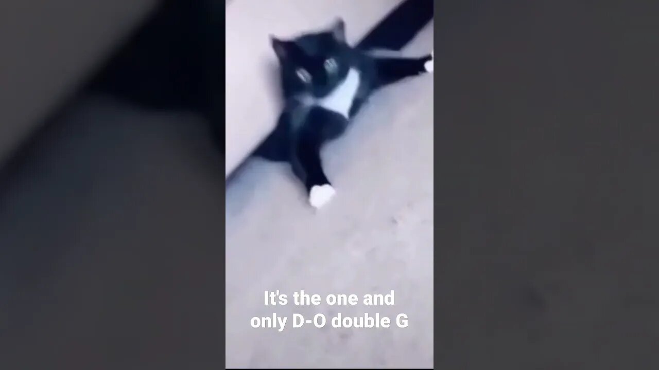 It's the one and only D-O double G #shorts