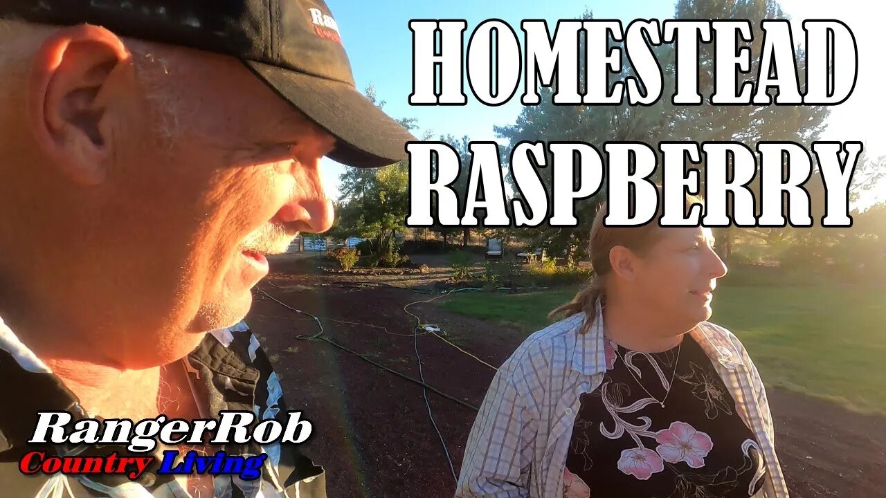 Raspberry On the Homestead, Pea Shelling & Pigs