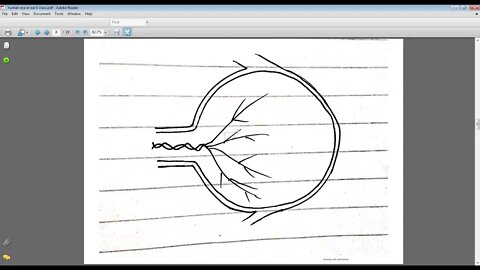 science class 6 28 04 2021