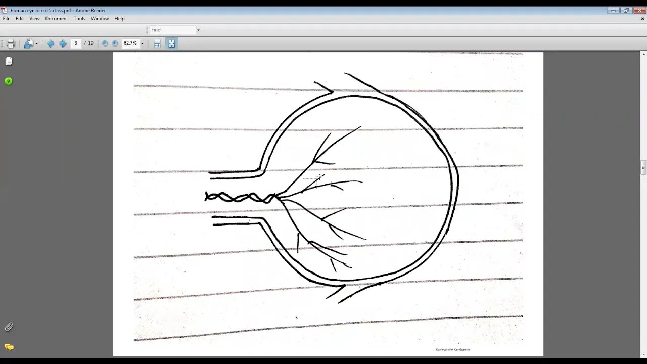 science class 6 28 04 2021