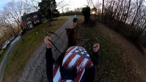 This Horse isn't right! GOPRO Max 360