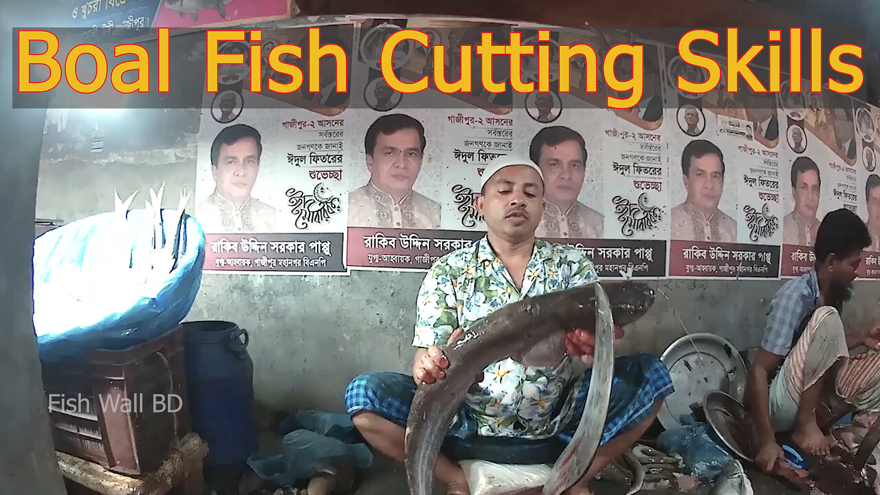 Boal Fish Cutting Skills In Fish Cutting Market-Boal Fish Cutting Video-Fish Wall BD