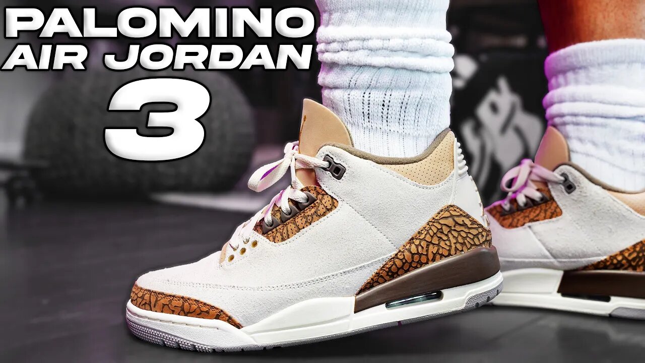 Air Jordan 3 Palomino Review and On Foot