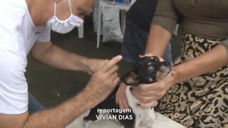 Fim de semana: projeto de vacinação canina é realizado em Governador Valadares