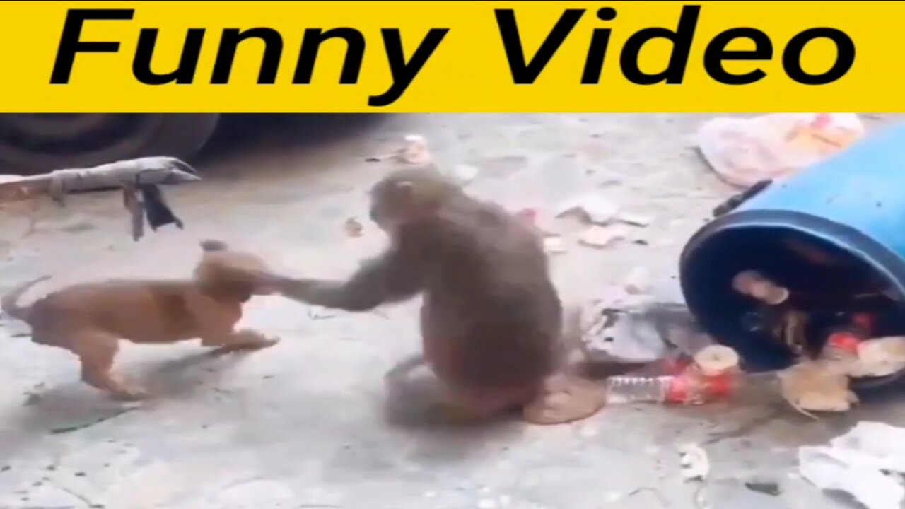 Amezing Funny --Video Dog -- with Monkey