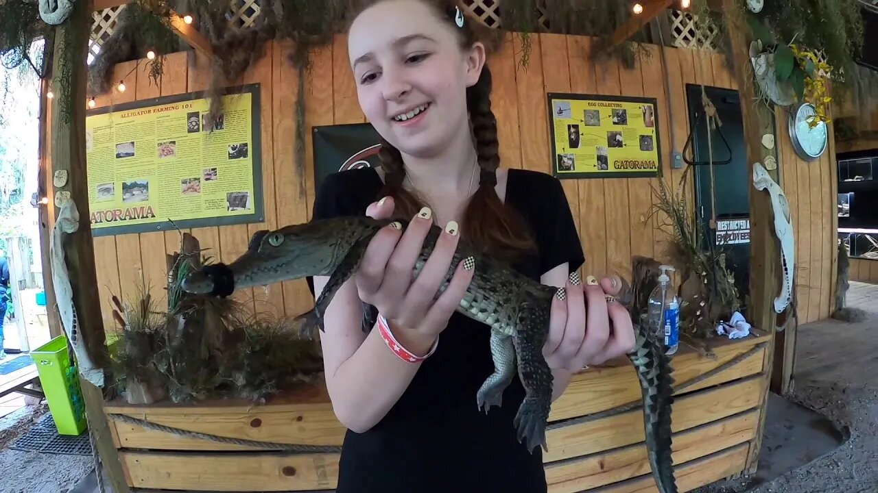 TheFamilyDoes Hands On At Gatorama