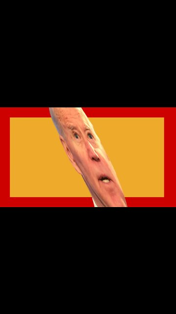 WHAT DID JOE BIDEN JUST SAY?!