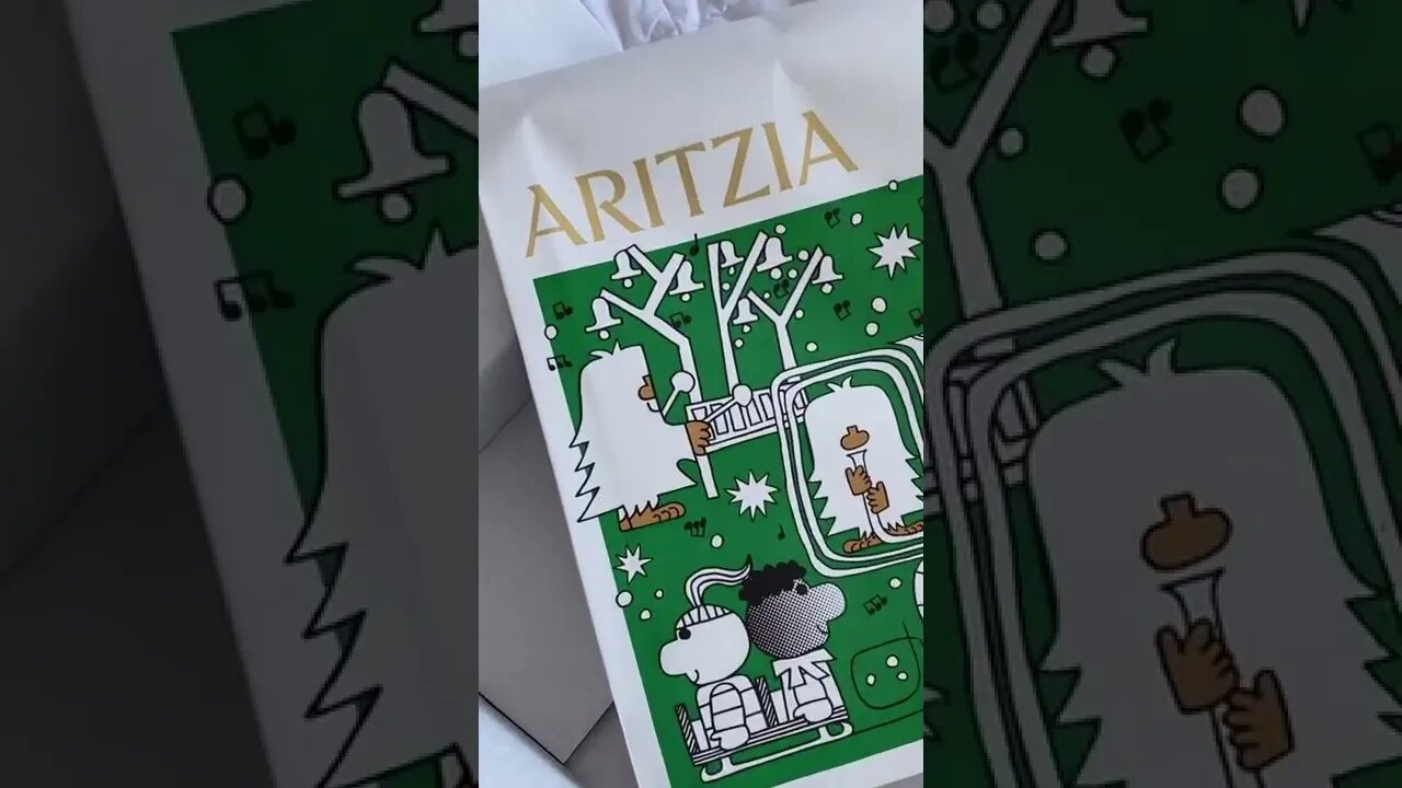 Aritzia Haul TikTok michcoults