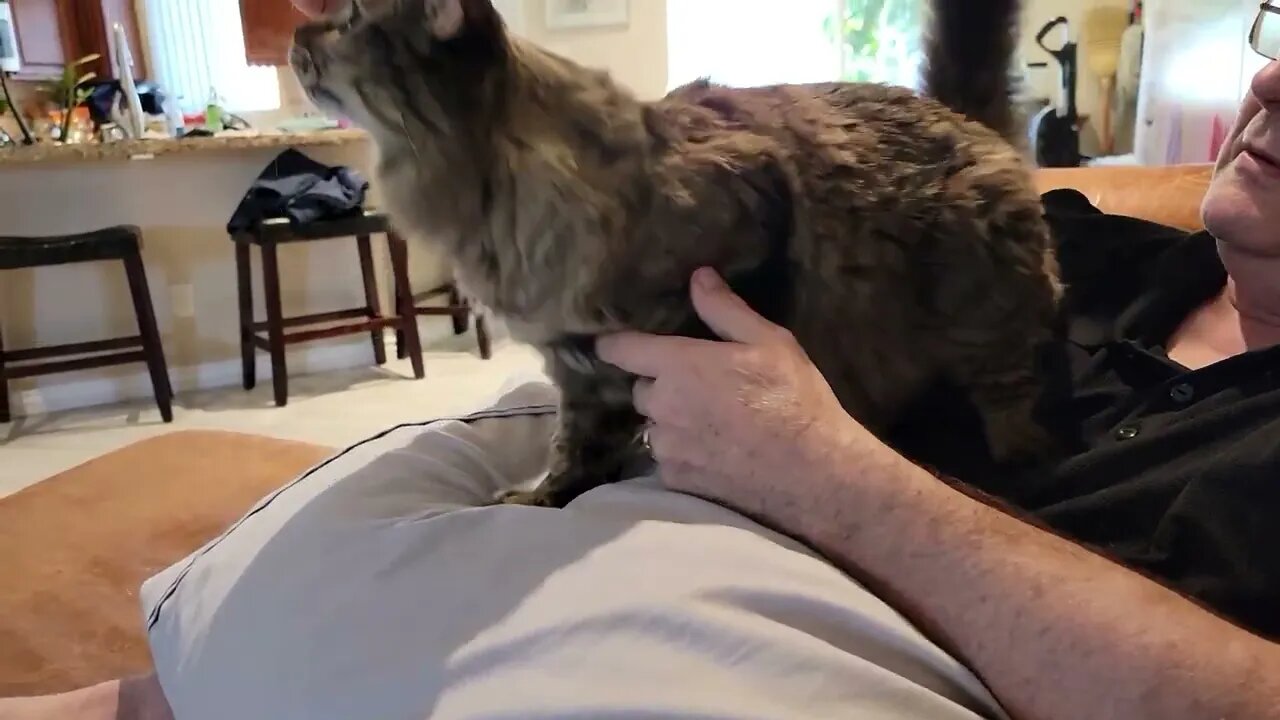 Daddy turned Ellie B into a video junkie