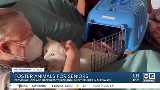 Seniors curing loneliness through furry friendships thanks to Valley nonprofit