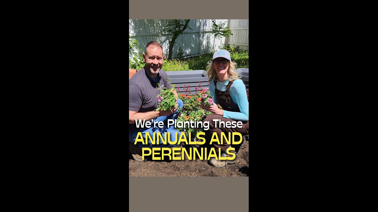 See What Annuals and Perennials We're Planting