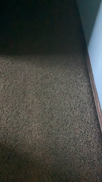 FNAF hurr hurr hurr hurr hurr