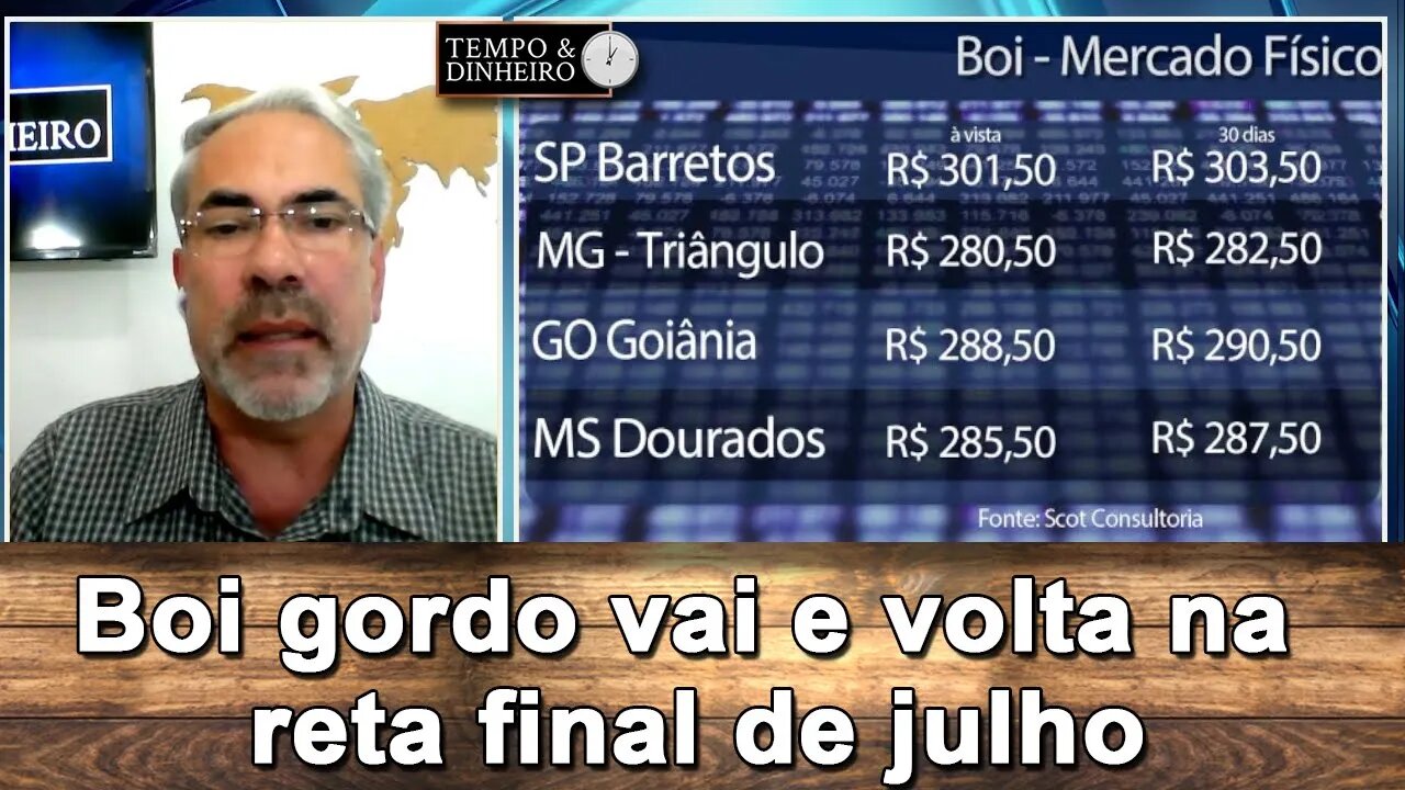 Boi gordo vai e volta na reta final de julho. Expectativas positivas para agosto