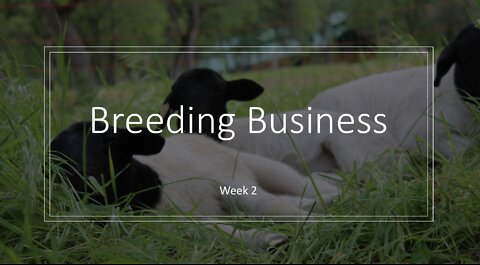 Week 2 (Breeding Business) -- Sheep