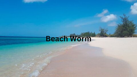 The Beach Worm Trilogy