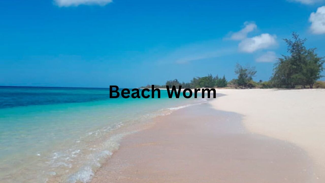 The Beach Worm Trilogy