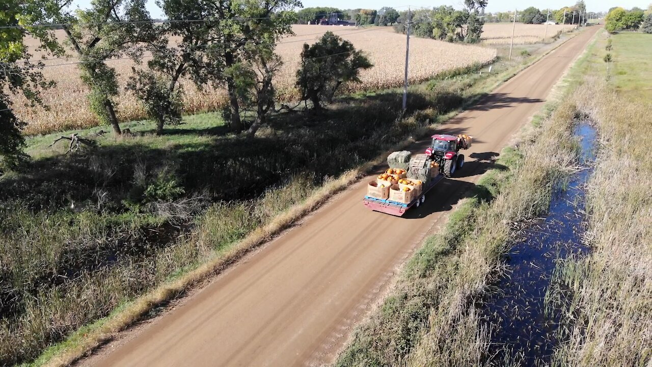 Tractor Pumpkin Train Delivery